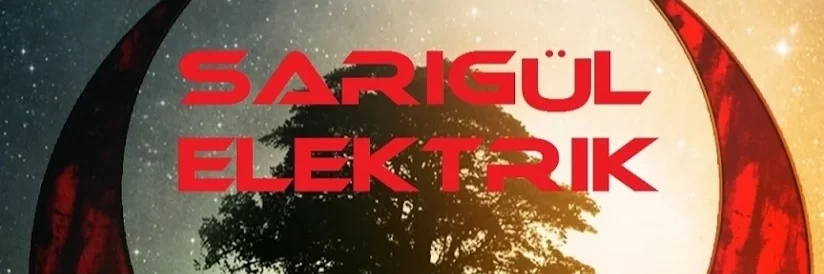 sarigulteknik.com